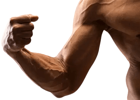 Forearm Hypertrophy: Building Impressive Forearms